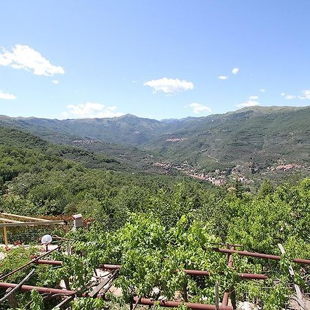 Agriturismo Nonni Devia Lucinasco 外观 照片