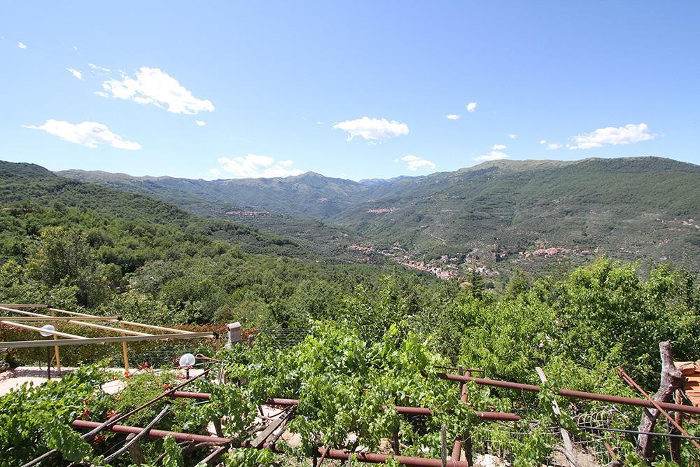 Agriturismo Nonni Devia Lucinasco 外观 照片