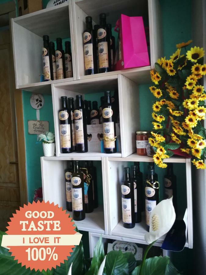Agriturismo Nonni Devia Lucinasco 外观 照片